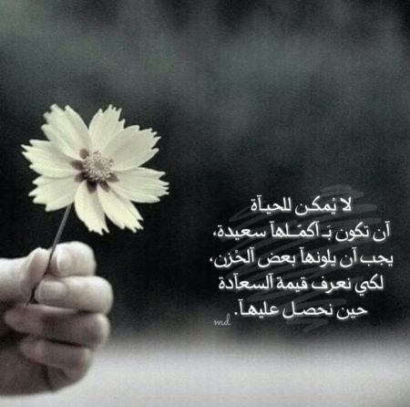 صوره 9883-11