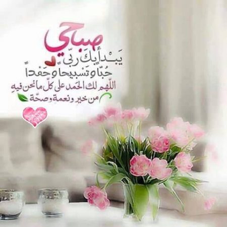 صوره 9573-12