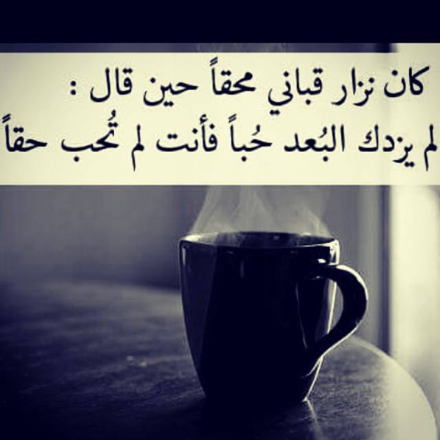 صوره 1232-12