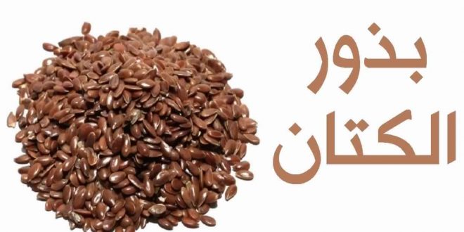 فوائد بذرة الكتان , اسرار وفوائد وكيفية استخدام بذور الكتان