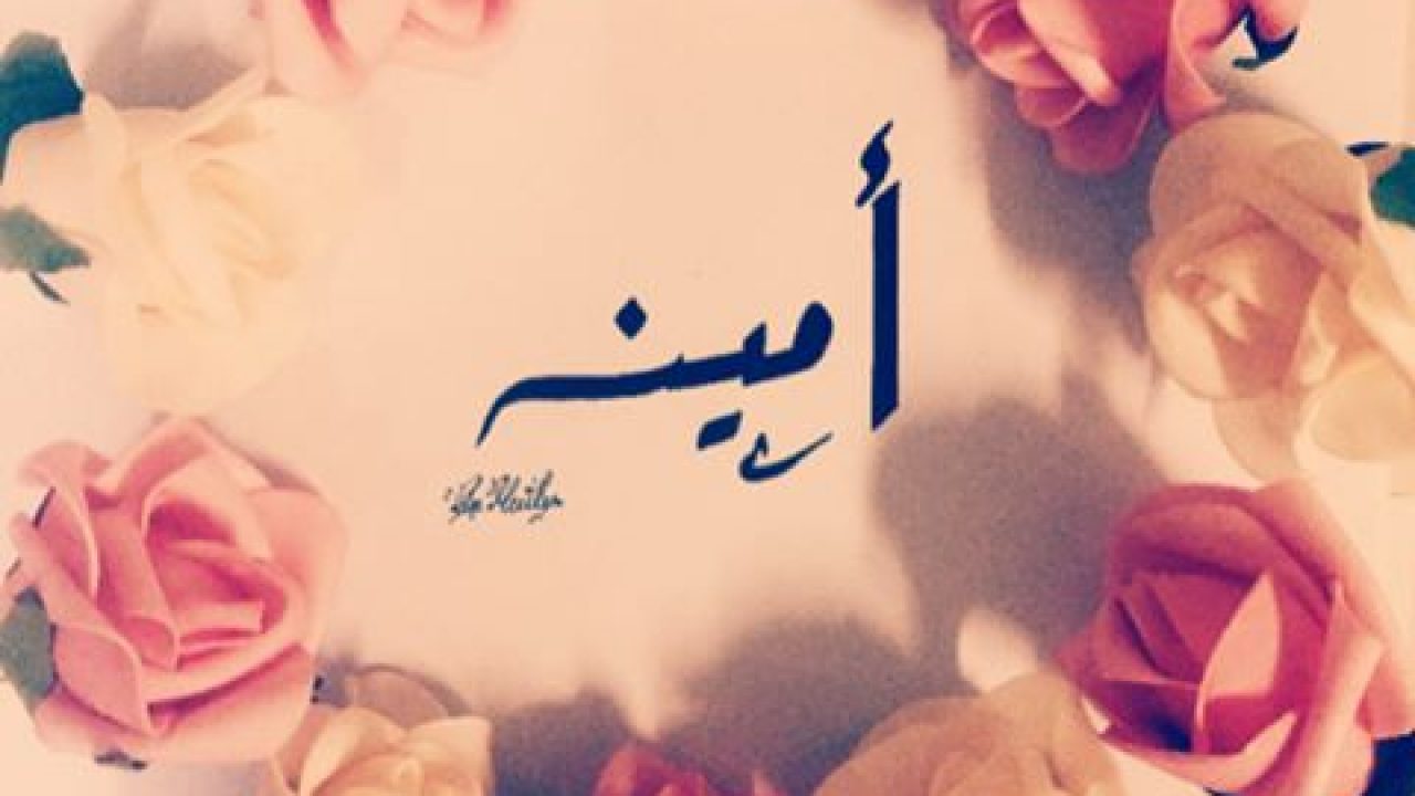 صوره 1337-9