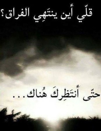 صوره 1248-6