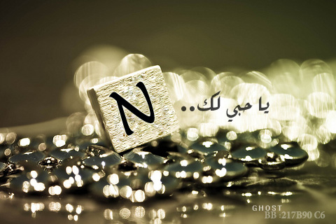 صوره 1726