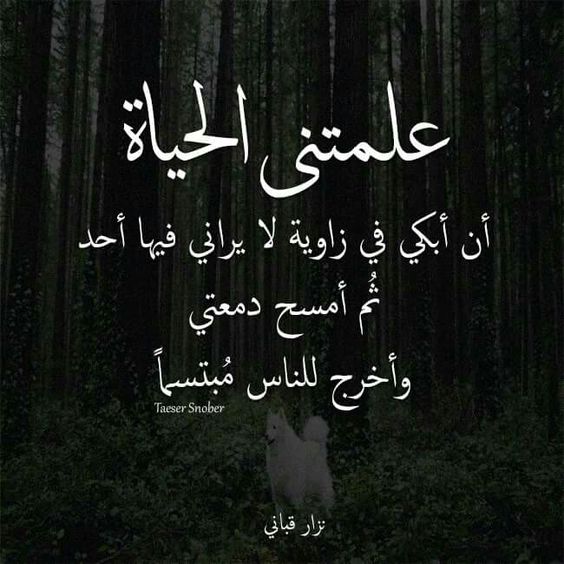 صوره 9819-6