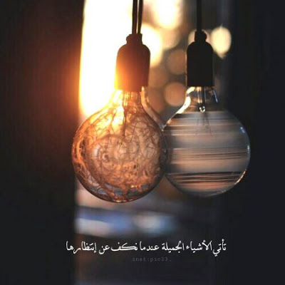 صوره 9613-7