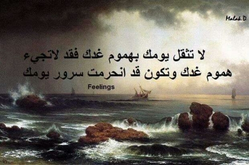 صوره 9764-7