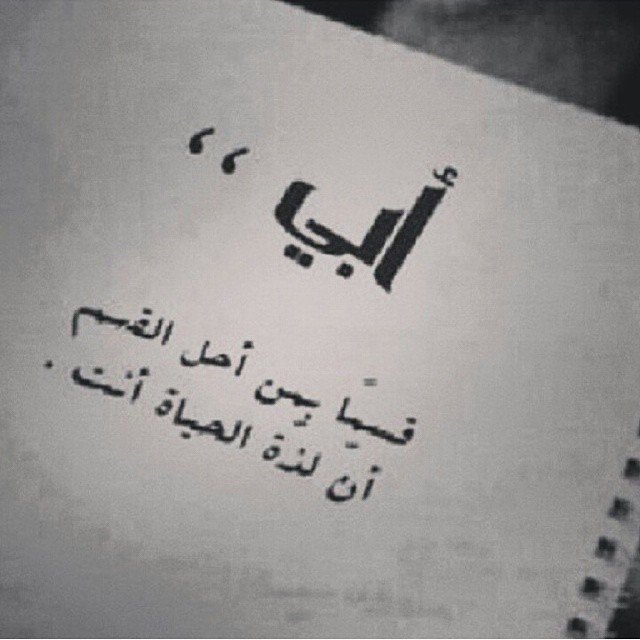 صوره 9049-5