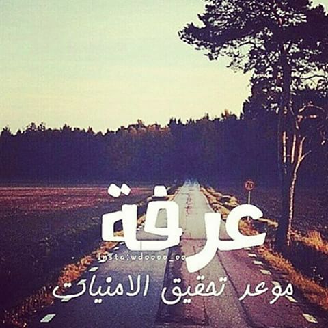 صوره 8974-3