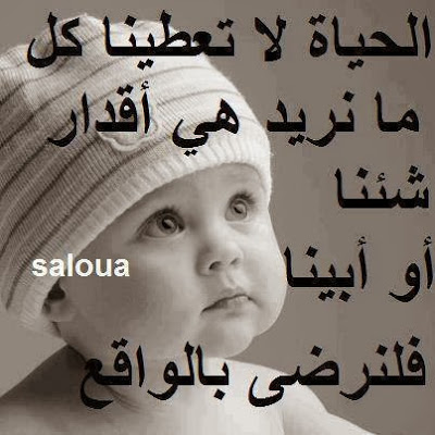 صوره 9806-9