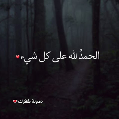 صوره 1440-9