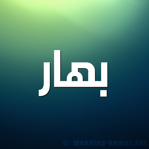 صوره Unnamed-File-11