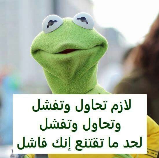 صور مضحكه - نكت الضفدع جديدة بتضحك