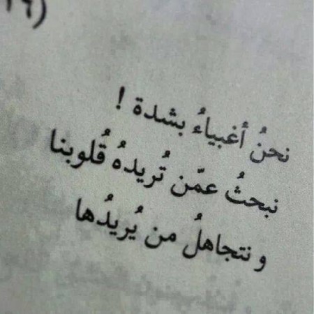 صوره 9811-3