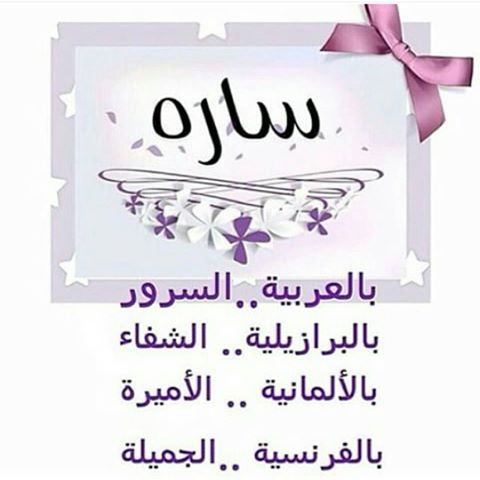 صوره 1418-4