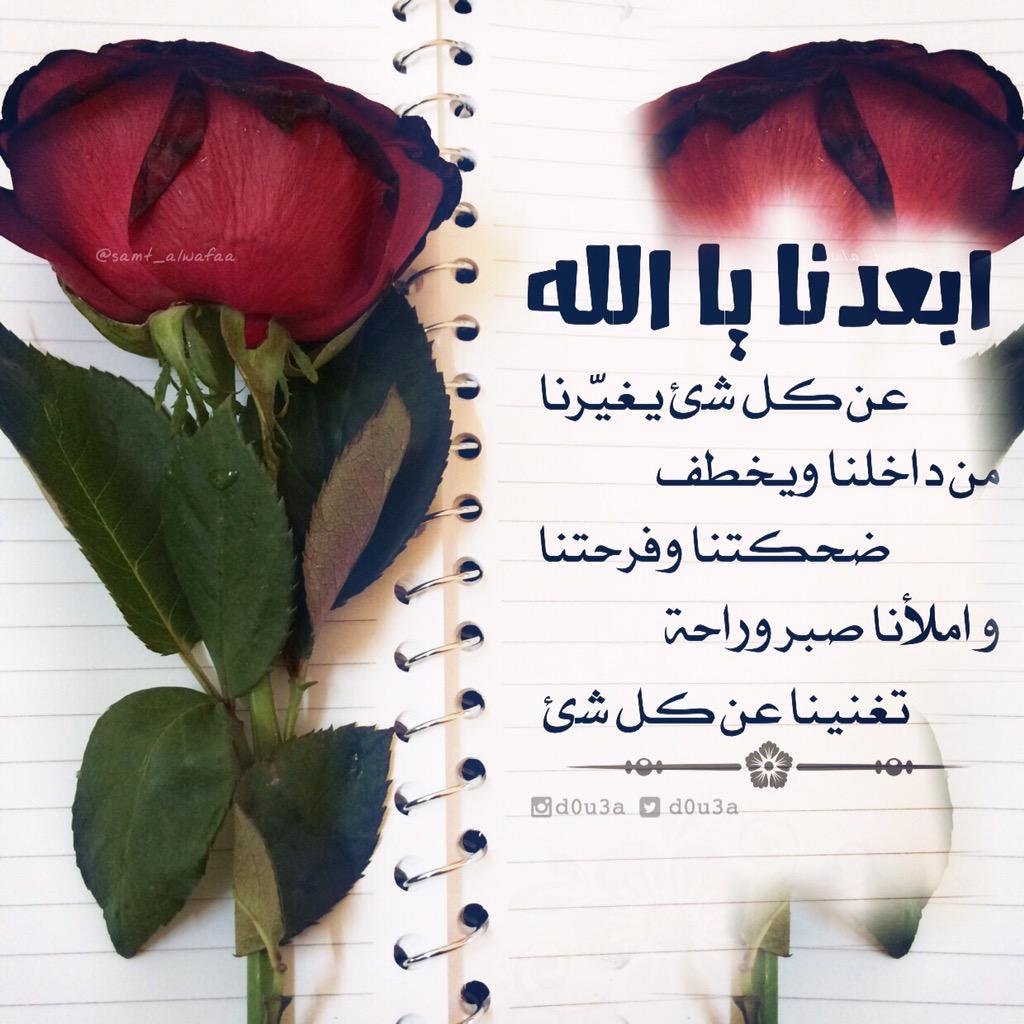 صوره 9185-10