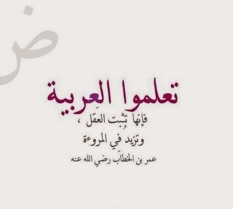 صوره 9485-3