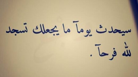 صوره 9811-8