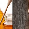 4620 1 فوائد العسل للشعر - جمال شعرك سره في عسل النحل غزول بدر