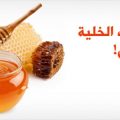 4430 3 العسل دواء وشفاء من امراض كثية- فوائد العسل الابيض غزول بدر